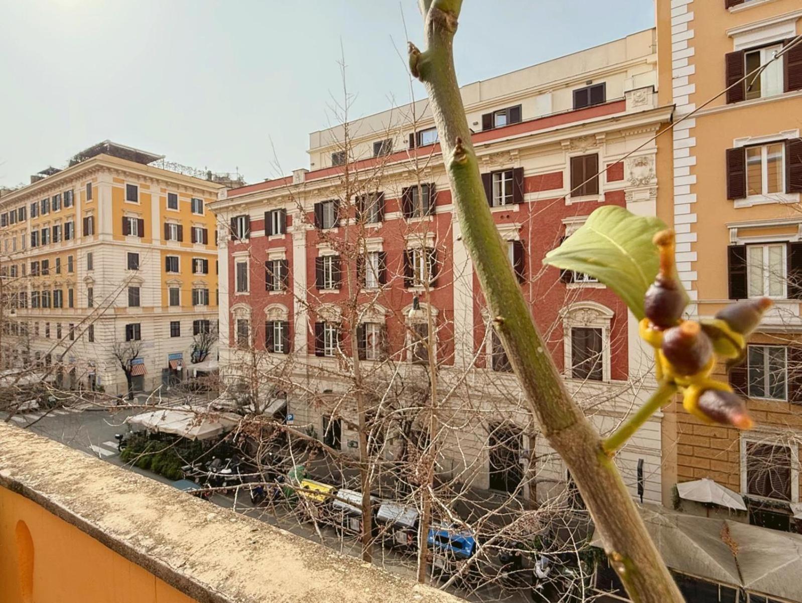 Fabio Massimo Guest House Рим Екстер'єр фото
